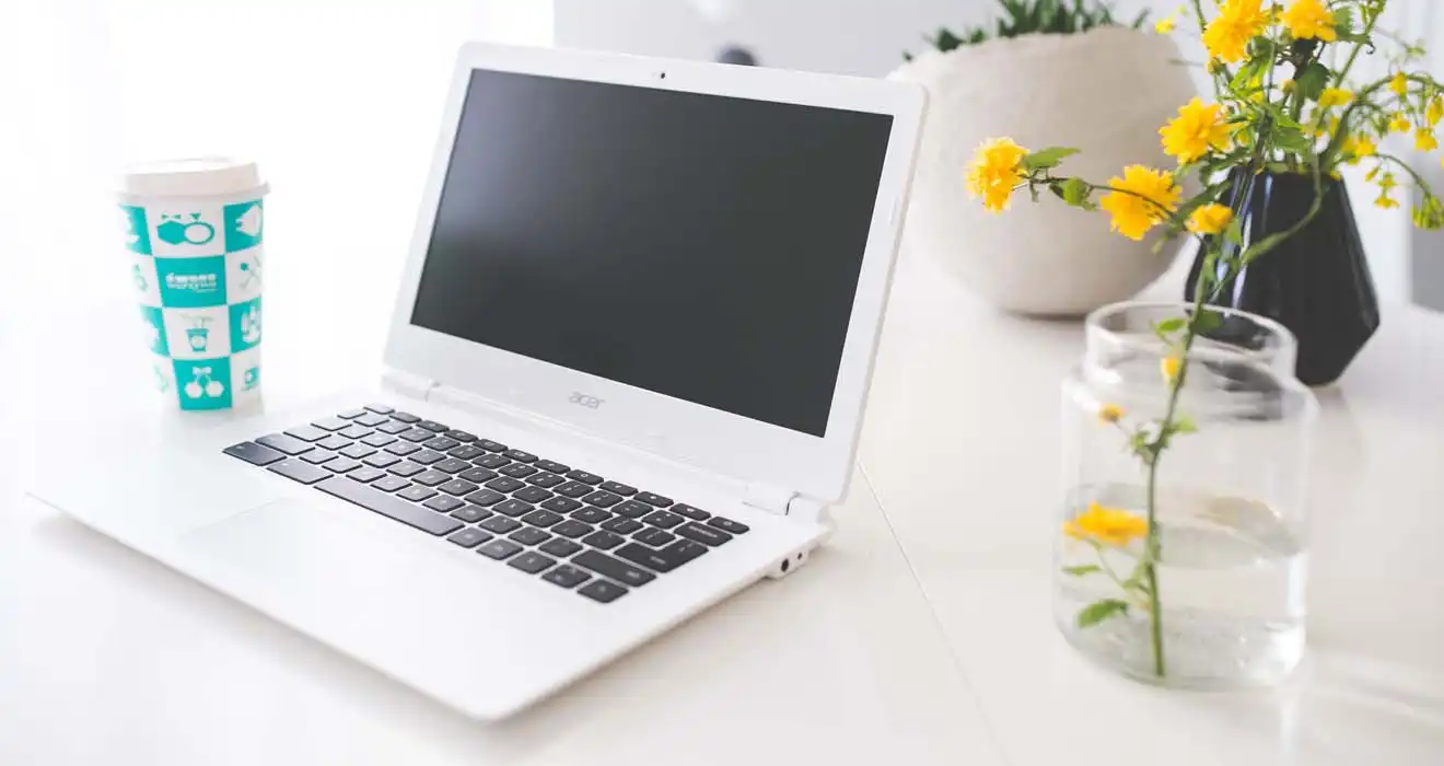 Ремонт ноутбуков Acer в Красном Селе