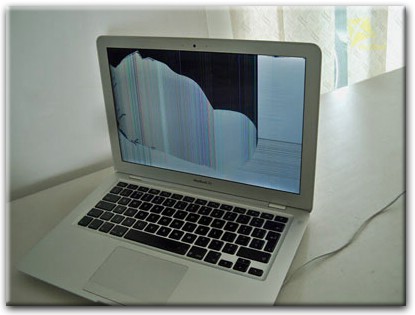 Замена матрицы Apple MacBook в Красном Селе